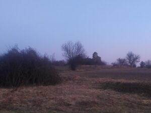 IMG_20200402_193142_1