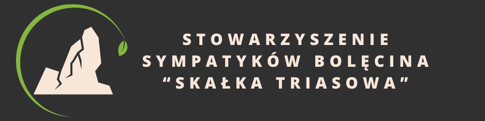 logo stowarzyszenia sympatykow Bolęcina "Skałka Triasowa"